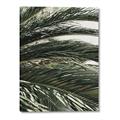 Picture of Sun & Palms  _GroupedProduct_Rectangle_Portrait_Photography _GroupedProduct_Rectangle_Portrait_Canvas_