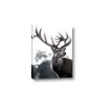 Picture of The Winter Deer _GroupedProduct_Rectangle_Portrait_Photography _GroupedProduct_Rectangle_Portrait_Canvas_