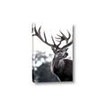Picture of The Winter Deer _GroupedProduct_Rectangle_Portrait_Photography _GroupedProduct_Rectangle_Portrait_Canvas_