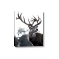 Picture of The Winter Deer _GroupedProduct_Rectangle_Portrait_Photography _GroupedProduct_Rectangle_Portrait_Canvas_