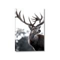 Picture of The Winter Deer _GroupedProduct_Rectangle_Portrait_Photography _GroupedProduct_Rectangle_Portrait_Canvas_