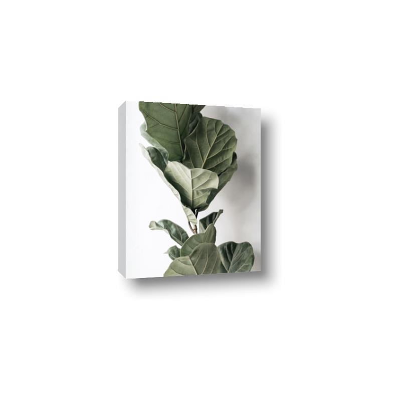 Picture of Think Green  _GroupedProduct_Rectangle_Portrait_Photography _GroupedProduct_Rectangle_Portrait_Canvas_