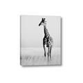Picture of Through the Grass _GroupedProduct_Rectangle_Portrait_Photography _GroupedProduct_Rectangle_Portrait_Canvas_