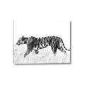 Picture of Tiger Path _GroupedProduct_Rectangle_Landscape_Photography _GroupedProduct_Rectangle_Landscape_Canvas_