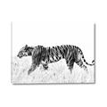 Picture of Tiger Path _GroupedProduct_Rectangle_Landscape_Photography _GroupedProduct_Rectangle_Landscape_Canvas_