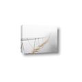 Picture of Uncertain Steps  _GroupedProduct_Rectangle_Landscape_Photography _GroupedProduct_Rectangle_Landscape_Canvas_