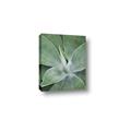 Picture of Up Close & Green _GroupedProduct_Rectangle_Portrait_Photography _GroupedProduct_Rectangle_Portrait_Canvas_