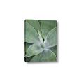 Picture of Up Close & Green _GroupedProduct_Rectangle_Portrait_Photography _GroupedProduct_Rectangle_Portrait_Canvas_