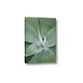 Picture of Up Close & Green _GroupedProduct_Rectangle_Portrait_Photography _GroupedProduct_Rectangle_Portrait_Canvas_