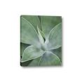 Picture of Up Close & Green _GroupedProduct_Rectangle_Portrait_Photography _GroupedProduct_Rectangle_Portrait_Canvas_