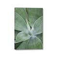 Picture of Up Close & Green _GroupedProduct_Rectangle_Portrait_Photography _GroupedProduct_Rectangle_Portrait_Canvas_