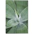 Picture of Up Close & Green _GroupedProduct_Rectangle_Portrait_Photography _GroupedProduct_Rectangle_Portrait_Canvas_