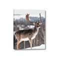Picture of Waiting in Snow _GroupedProduct_Rectangle_Portrait_Photography _GroupedProduct_Rectangle_Portrait_Canvas_