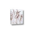 Picture of Wheat in the Wind  _GroupedProduct_Rectangle_Portrait_Photography _GroupedProduct_Rectangle_Portrait_Canvas_