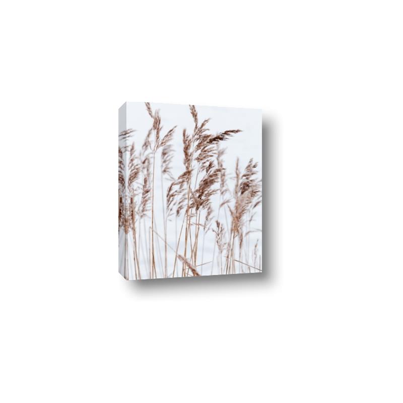 Picture of Wheat in the Wind  _GroupedProduct_Rectangle_Portrait_Photography _GroupedProduct_Rectangle_Portrait_Canvas_