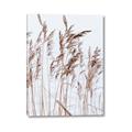 Picture of Wheat in the Wind  _GroupedProduct_Rectangle_Portrait_Photography _GroupedProduct_Rectangle_Portrait_Canvas_