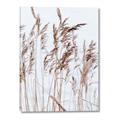 Picture of Wheat in the Wind  _GroupedProduct_Rectangle_Portrait_Photography _GroupedProduct_Rectangle_Portrait_Canvas_