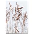 Picture of Wheat in the Wind  _GroupedProduct_Rectangle_Portrait_Photography _GroupedProduct_Rectangle_Portrait_Canvas_