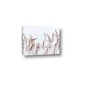 Picture of Wheat in the Wind II _GroupedProduct_Rectangle_Landscape_Photography _GroupedProduct_Rectangle_Landscape_Canvas_