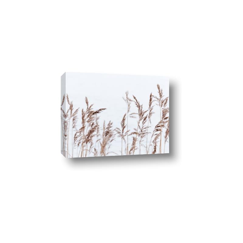 Picture of Wheat in the Wind II _GroupedProduct_Rectangle_Landscape_Photography _GroupedProduct_Rectangle_Landscape_Canvas_