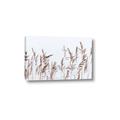 Picture of Wheat in the Wind II _GroupedProduct_Rectangle_Landscape_Photography _GroupedProduct_Rectangle_Landscape_Canvas_
