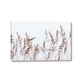 Picture of Wheat in the Wind II _GroupedProduct_Rectangle_Landscape_Photography _GroupedProduct_Rectangle_Landscape_Canvas_