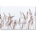 Picture of Wheat in the Wind II _GroupedProduct_Rectangle_Landscape_Photography _GroupedProduct_Rectangle_Landscape_Canvas_