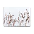 Picture of Wheat in the Wind II _GroupedProduct_Rectangle_Landscape_Photography _GroupedProduct_Rectangle_Landscape_Canvas_