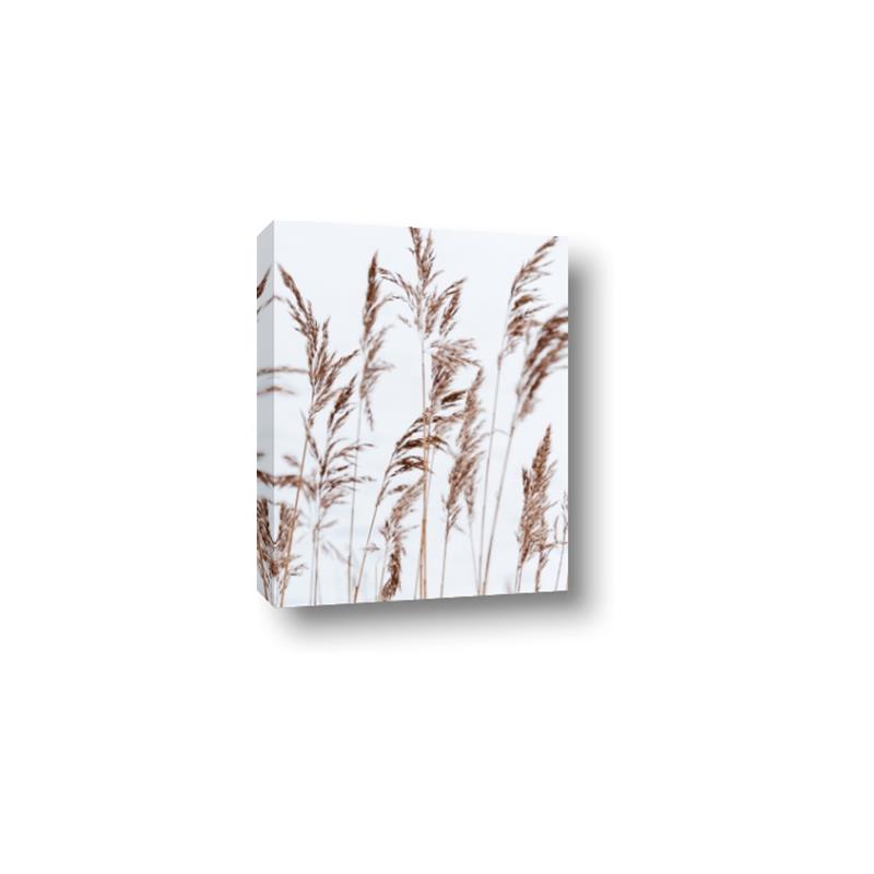 Picture of Wheat in the Wind III _GroupedProduct_Rectangle_Portrait_Photography _GroupedProduct_Rectangle_Portrait_Canvas_