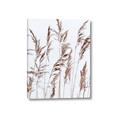 Picture of Wheat in the Wind III _GroupedProduct_Rectangle_Portrait_Photography _GroupedProduct_Rectangle_Portrait_Canvas_