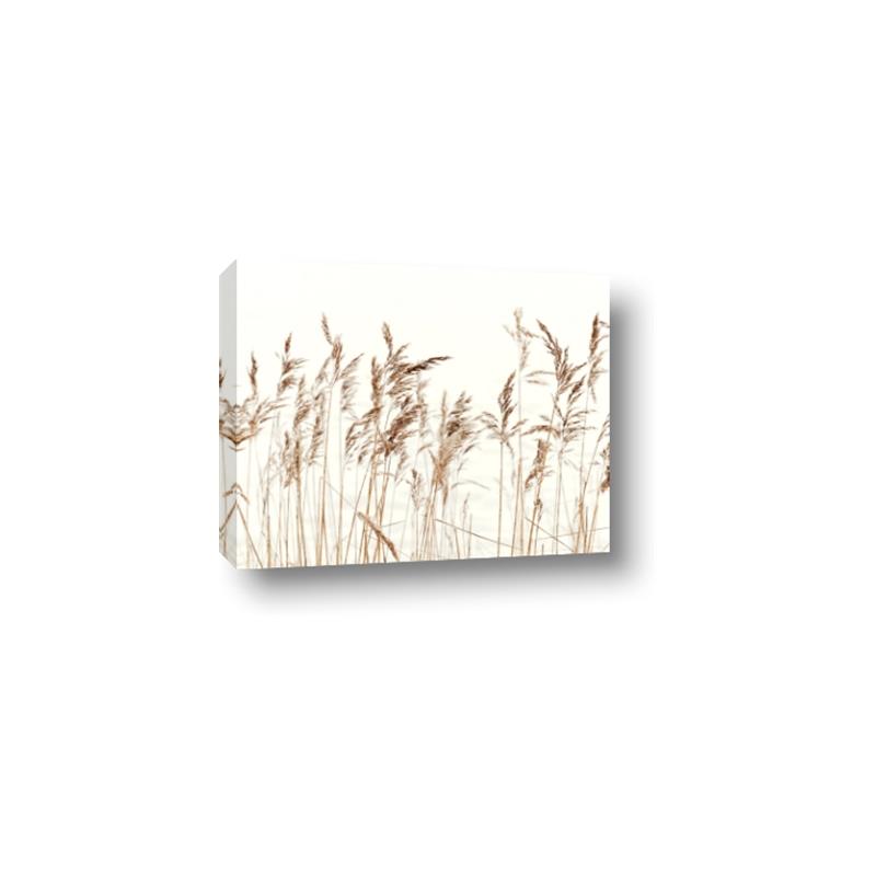 Picture of Wheat in the Wind IV _GroupedProduct_Rectangle_Landscape_Photography _GroupedProduct_Rectangle_Landscape_Canvas_