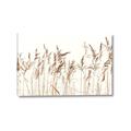 Picture of Wheat in the Wind IV _GroupedProduct_Rectangle_Landscape_Photography _GroupedProduct_Rectangle_Landscape_Canvas_