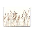 Picture of Wheat in the Wind IV _GroupedProduct_Rectangle_Landscape_Photography _GroupedProduct_Rectangle_Landscape_Canvas_