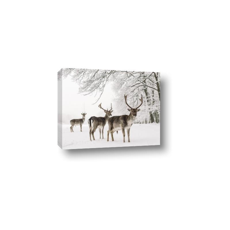 Picture of Winter Deers _GroupedProduct_Rectangle_Landscape_Photography _GroupedProduct_Rectangle_Landscape_Canvas_