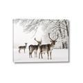 Picture of Winter Deers _GroupedProduct_Rectangle_Landscape_Photography _GroupedProduct_Rectangle_Landscape_Canvas_