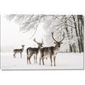 Picture of Winter Deers _GroupedProduct_Rectangle_Landscape_Photography _GroupedProduct_Rectangle_Landscape_Canvas_