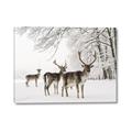 Picture of Winter Deers _GroupedProduct_Rectangle_Landscape_Photography _GroupedProduct_Rectangle_Landscape_Canvas_