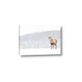 Picture of Winter Stag _GroupedProduct_Rectangle_Landscape_Canvas_