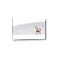 Picture of Winter Stag _GroupedProduct_Rectangle_Landscape_Canvas_