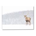Picture of Winter Stag _GroupedProduct_Rectangle_Landscape_Canvas_
