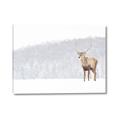 Picture of Winter Stag _GroupedProduct_Rectangle_Landscape_Canvas_