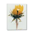 Picture of Yellow Bloom _GroupedProduct_Rectangle_Portrait_Photography _GroupedProduct_Rectangle_Portrait_Canvas_