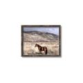 Picture of Lone Horse  _GroupedProduct_Rectangle_Landscape_Photography _GroupedProduct_Rectangle_Landscape_Canvas_Framed_