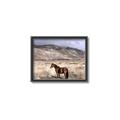 Picture of Lone Horse  _GroupedProduct_Rectangle_Landscape_Photography _GroupedProduct_Rectangle_Landscape_Canvas_Framed_