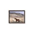 Picture of Lone Horse  _GroupedProduct_Rectangle_Landscape_Photography _GroupedProduct_Rectangle_Landscape_Canvas_Framed_