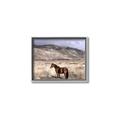 Picture of Lone Horse  _GroupedProduct_Rectangle_Landscape_Photography _GroupedProduct_Rectangle_Landscape_Canvas_Framed_