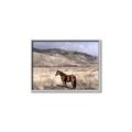 Picture of Lone Horse  _GroupedProduct_Rectangle_Landscape_Photography _GroupedProduct_Rectangle_Landscape_Canvas_Framed_