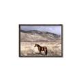 Picture of Lone Horse  _GroupedProduct_Rectangle_Landscape_Photography _GroupedProduct_Rectangle_Landscape_Canvas_Framed_