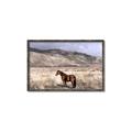 Picture of Lone Horse  _GroupedProduct_Rectangle_Landscape_Photography _GroupedProduct_Rectangle_Landscape_Canvas_Framed_