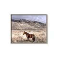 Picture of Lone Horse  _GroupedProduct_Rectangle_Landscape_Photography _GroupedProduct_Rectangle_Landscape_Canvas_Framed_